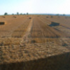 Feld mit Strohballen beim Königstuhl, 2009 (mit Beschreibung)